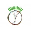 PIGTAIL FIBER SM SC/APC SEMI TIGHT 9/125 G657A1 12X2M MULTICOLOR LANBERG