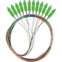 PIGTAIL FIBER SM SC/APC SEMI TIGHT 9/125 G657A1 12X2M MULTICOLOR LANBERG