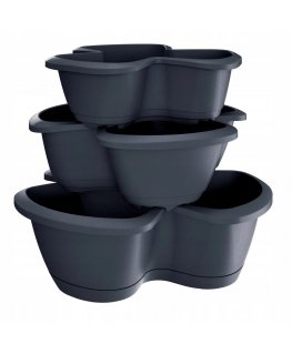 Prosperplast Triple container Respana Trio DRET123S anthracite