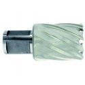 Tivoly Metalo gręžimo freza Ø22X60X30 мм HSS, tvirtinimas Ø19 мм, Weldon Tivoly Metalo gręžimo freza Ø22X60X30 мм HSS, tvirtinimas Ø19 мм, Weldon