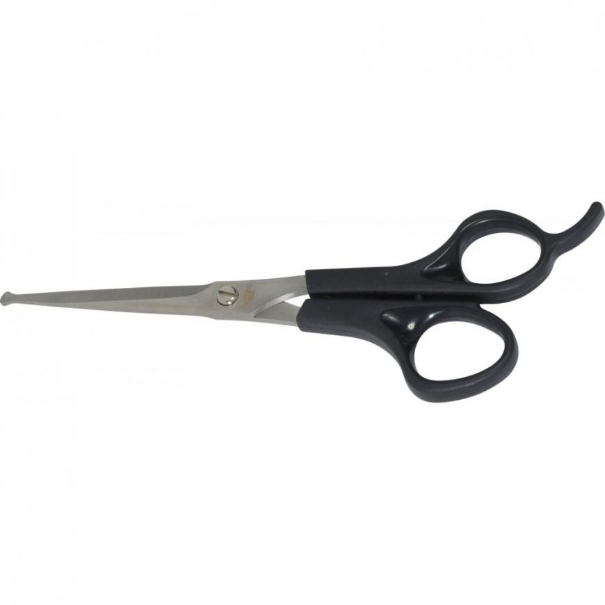 Zolux ANAH scissors with rounded tips – 2