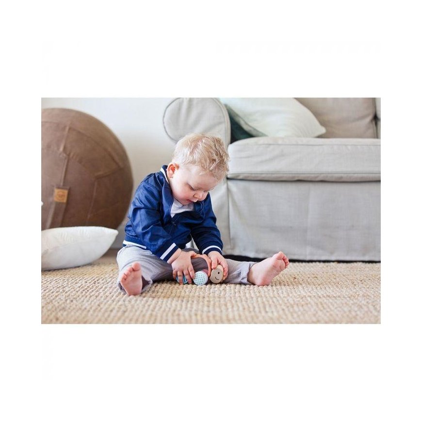HAPE wooden toy Turtle, E8516B – 2