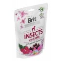 Brit Treat Brit Care Dog Insect&Lamb 200g