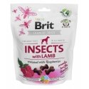 Brit Skanėstas Brit Care Dog Insect&ėriena 200g