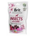 Brit Skanėstas Brit Care Dog Insect&ėriena 200g