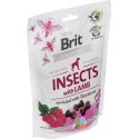 Brit Skanėstas Brit Care Dog Insect&ėriena 200g
