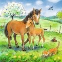 Ravensburger 8029 dėlionė 49 vnt Gyvūnai Ravensburger 8029 dėlionė 49 vnt Gyvūnai