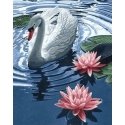 Beldizart Princess Swan 38 x 48 cm WD241