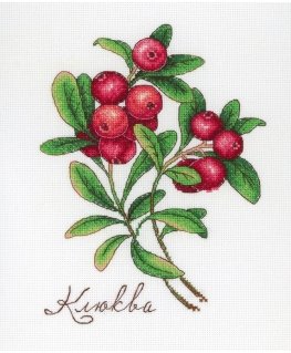 Beldizart Cranberry SNV-649