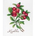 Beldizart Cranberry SNV-649 Beldizart Cranberry SNV-649