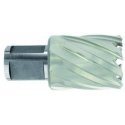 Tivoly Metal drilling cutter Ø12X60X30 mm HSS, mounting Ø19 mm, Weldon Tivoly Metal drilling cutter Ø12X60X30 mm HSS, mounting Ø19 mm, Weldon