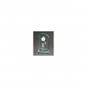 Tryumf Engraved glass trophy with case Tryumf Engraved glass trophy with case