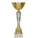 Detail Gold and silver metal cup Detail Gold and silver metal cup