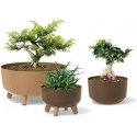 Prosperplast Gracia Standard Eco Wood DGRL400W naturo eco vazonas Prosperplast Gracia Standard Eco Wood DGRL400W naturo eco vazonas