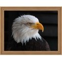 Beldizart (Discontinued) Bald eagle 40х30 cm AZ-1714 Beldizart (Discontinued) Bald eagle 40х30 cm AZ-1714