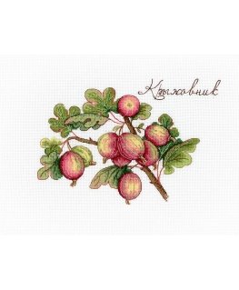 Beldizart Gooseberry SNV-634