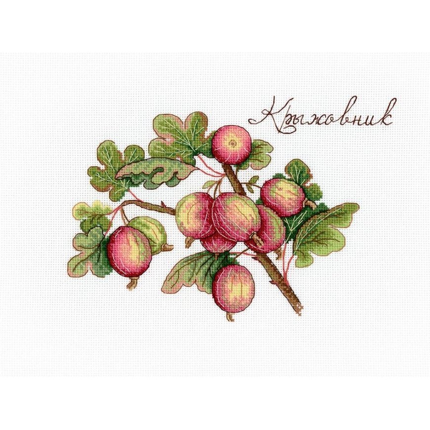 Beldizart Gooseberry SNV-634