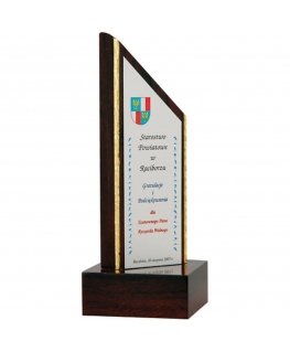 Tryumf Engraved plastic trophy