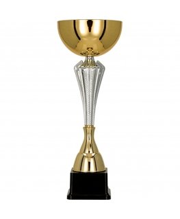 Detail Gold and silver metal cup