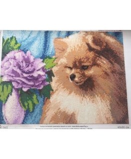 Beldizart Deimantinio dažymo rinkinys Pomeranian 40х30 cm AZ-1461