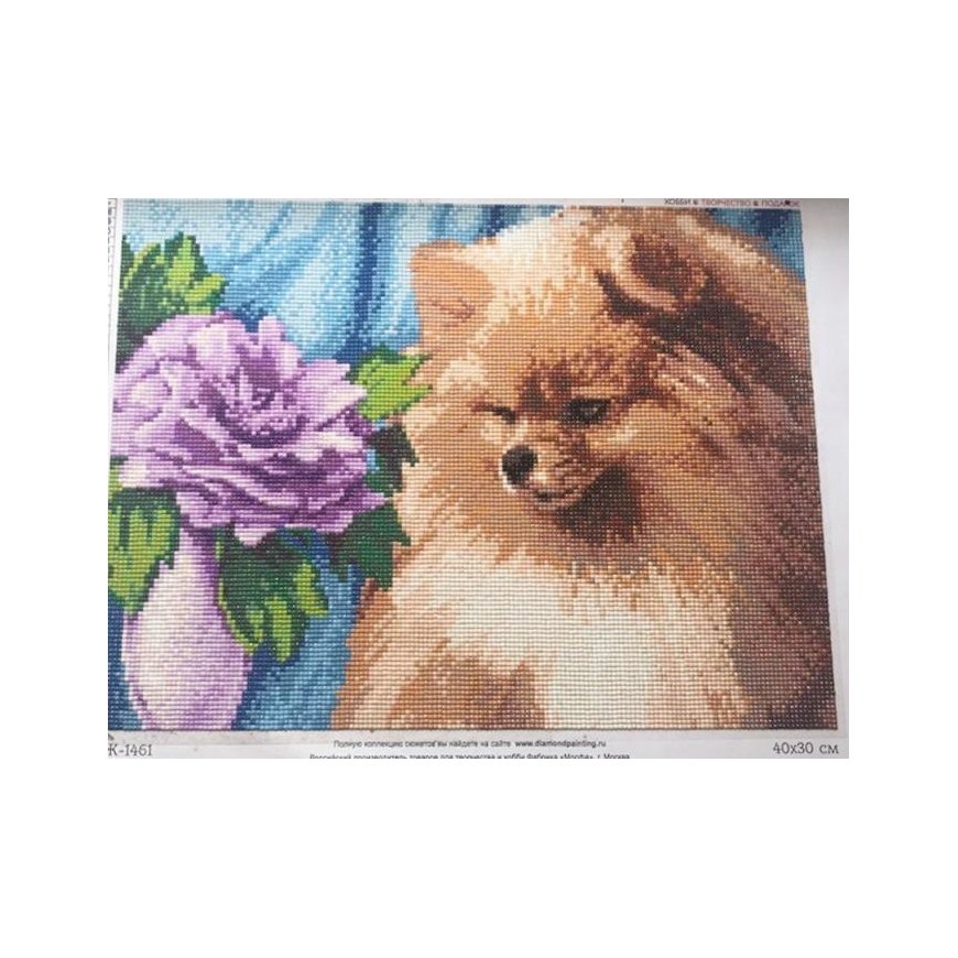Beldizart Diamond painting set Pomeranian 40х30