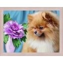 Beldizart Diamond painting set Pomeranian 40х30 cm AZ-1461 Beldizart Diamond painting set Pomeranian 40х30 cm AZ-1461