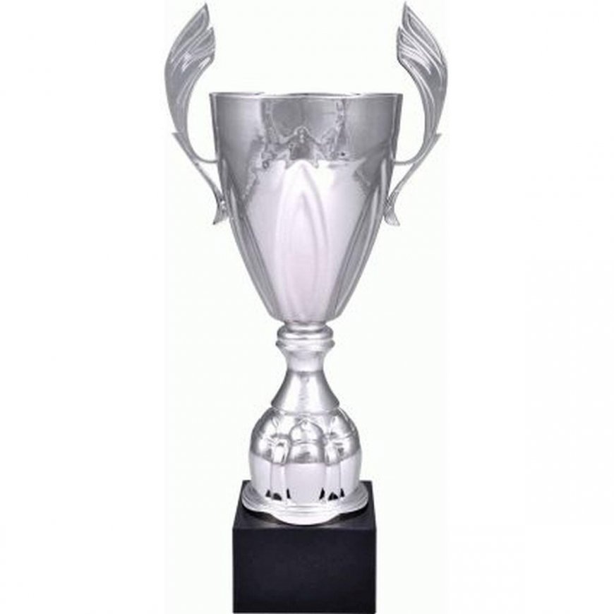 Tryumf Sidabrinis metalinis puodelis 4127F