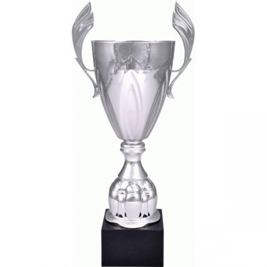 Tryumf Sidabrinis metalinis puodelis 4127F – 4