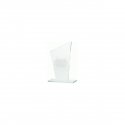 Tryumf Engraved glass trophy