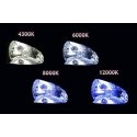 Xenon bulb, xenon d2r 6000k amio basic thread