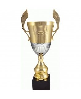 Tryumf Gold-silver metal cup 4128C