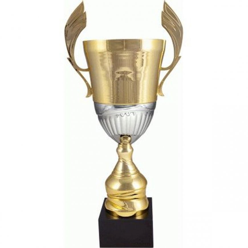 Tryumf Gold-silver metal cup 4128C – 3