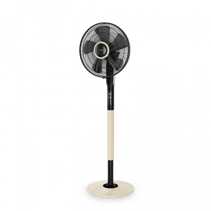 Tefal VF5880F0 kodinpuhallin Beige, Musta