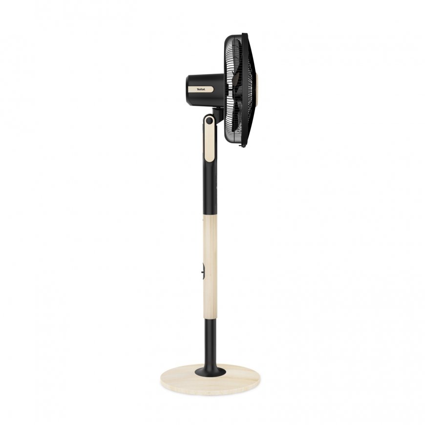 Tefal VF5880F0 koduventilaator Beež, Must – 2
