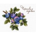 Beldizart Blueberries SNV-656 Beldizart Blueberries SNV-656