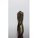SDS+ Extreme betono Widia grąžtas 16-166/100 DeWalt [DT9066-QZ]