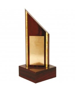 Tryumf Plastic trophy