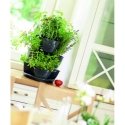 Prosperplast Triple pot for herbs Coubi Herbal anthracite
