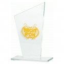 Tryumf Engraved glass trophy + paint filler Tryumf Engraved glass trophy + paint filler