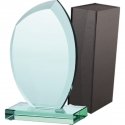 Tryumf Trofeum szklane with etui Tryumf Trofeum szklane with etui