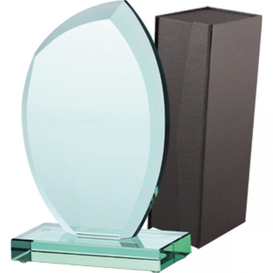 Tryumf Trofeum szklane su etui – 3