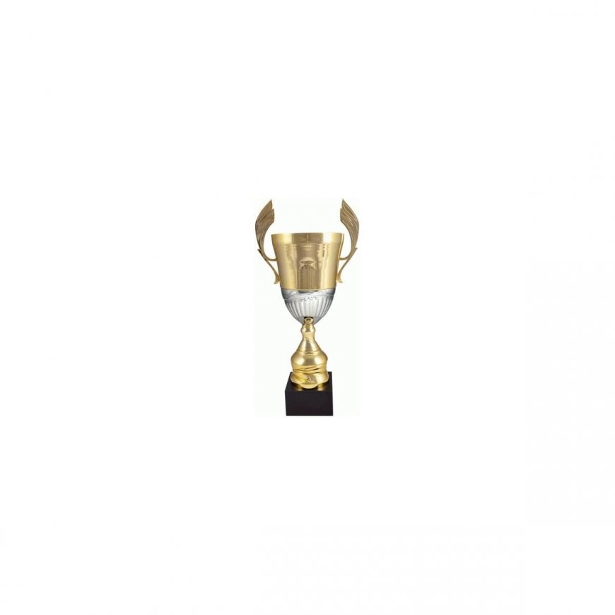 Tryumf Gold-silver metal cup 4128D – 2