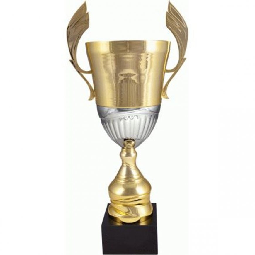 Tryumf Gold-silver metal cup 4128D – 4