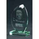 Tryumf Engraved glass trophy with case