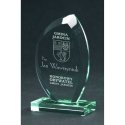 Tryumf Engraved glass trophy with case