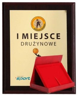 Tryumf Plastic diploma with color touch laminate + case 305x245 mm