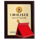 Tryumf Plastic diploma with color touch laminate + case 305x245 mm Tryumf Plastic diploma with color touch laminate + case 305x245 mm