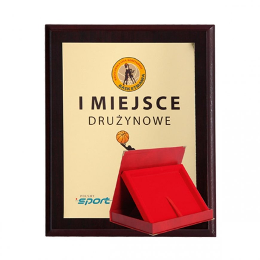 Tryumf Plastikinis diplomas su spalvotu jutikliniu laminatu + korpusas 305x245 mm – 3