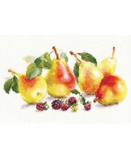 Beldizart Pears S5-16