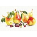 Beldizart Pears S5-16 Beldizart Pears S5-16